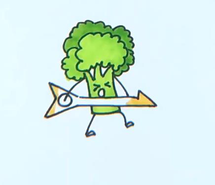 西蓝花简笔画图片 蔬菜简笔画视频教程
