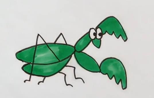 螳螂简笔画图片 彩色螳螂简笔画视频教程